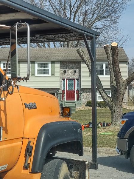 Top Notch Tree Services