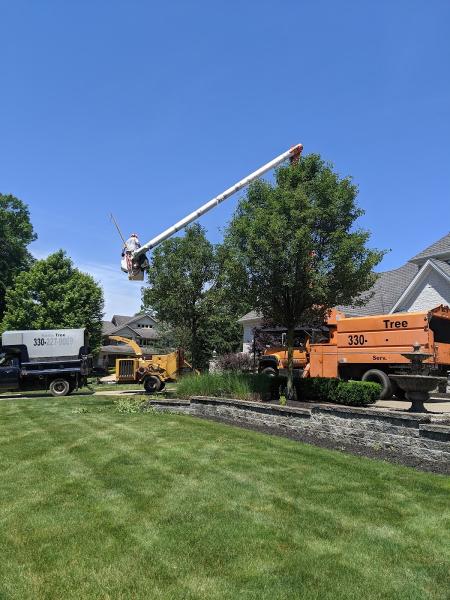 Top Notch Tree Services