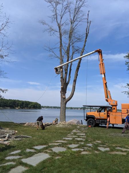 Top Notch Tree Services