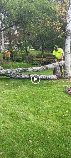Martin's Lawn Care & Tree Service LLC