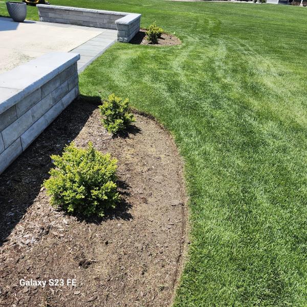 Martin's Lawn Care & Tree Service LLC