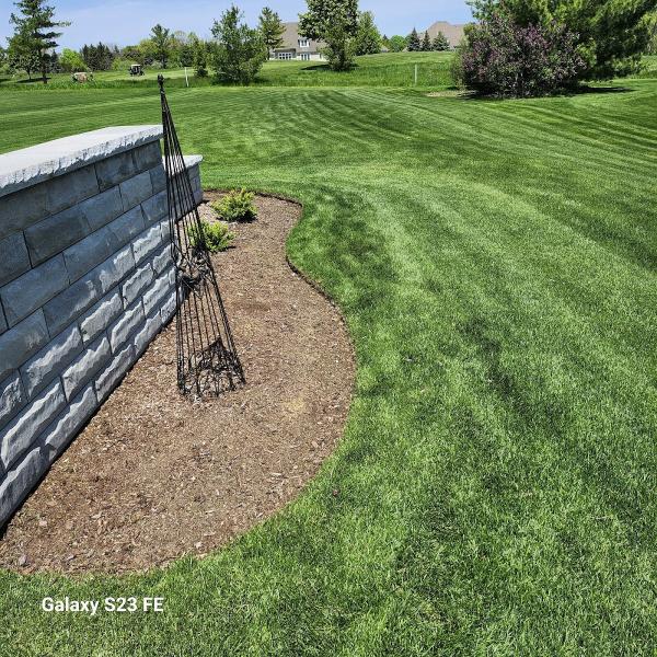 Martin's Lawn Care & Tree Service LLC