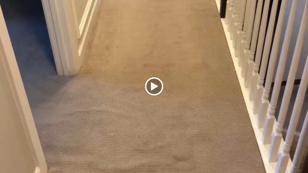 Good House Floor Care