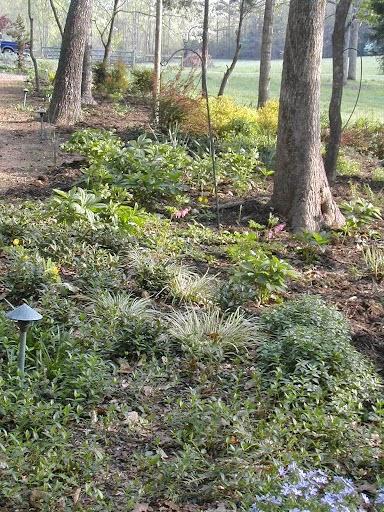 Piedmont Environmental Landscaping and Design