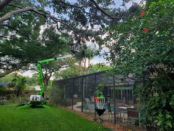 Clarke's Pro Tree Service