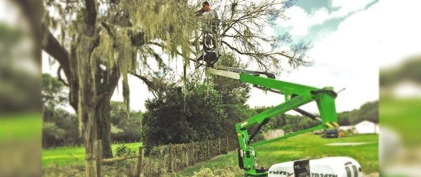 Clarke's Pro Tree Service