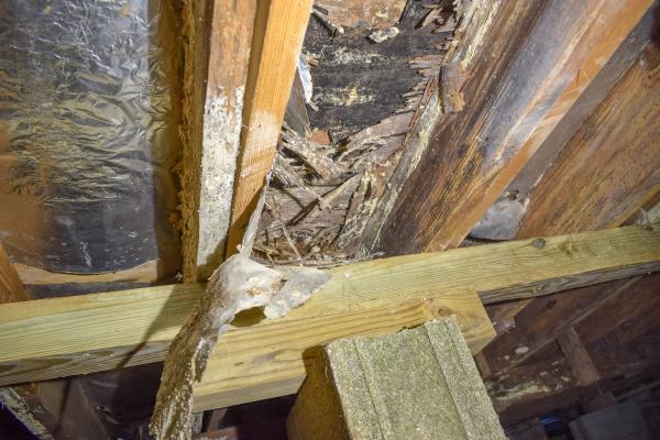 Clarksville Home Inspectors