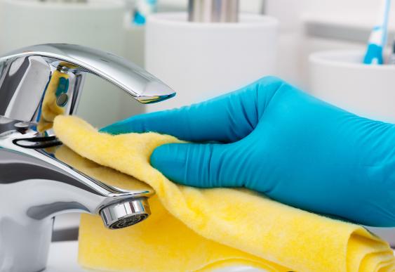 Evelyn's Cleaning Services