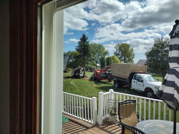 Lemahieu Tree Services