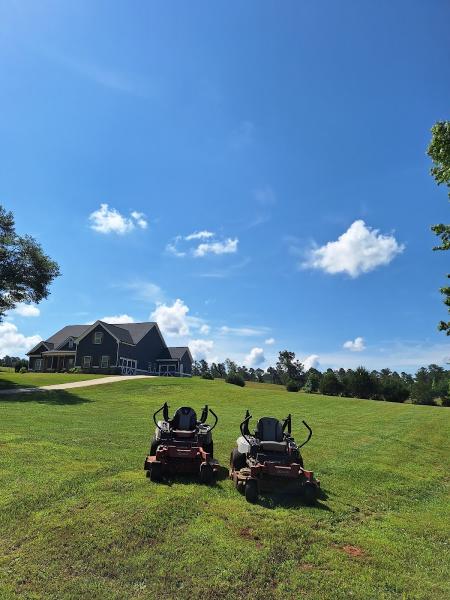 New Summer Lawn Care