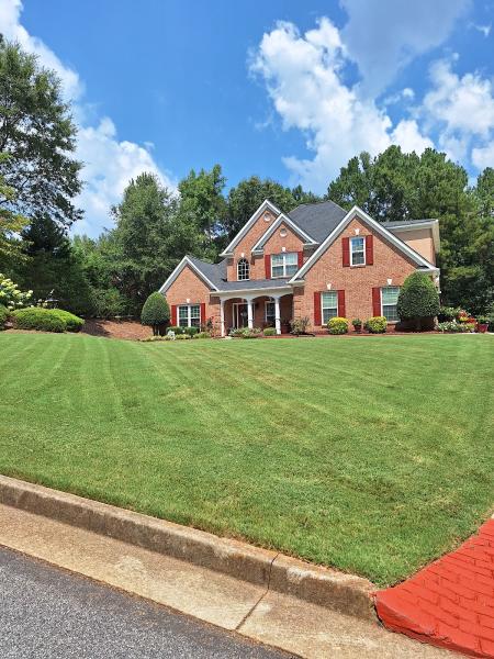 New Summer Lawn Care