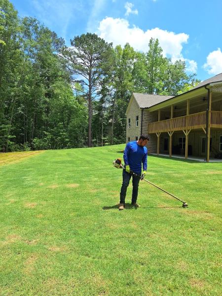 New Summer Lawn Care
