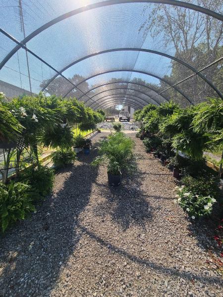 Scott Lawn & Landscape Inc.