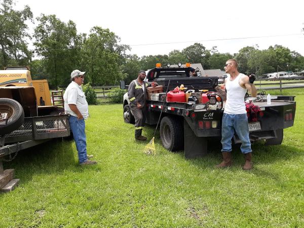 Rough Cut Tree Service
