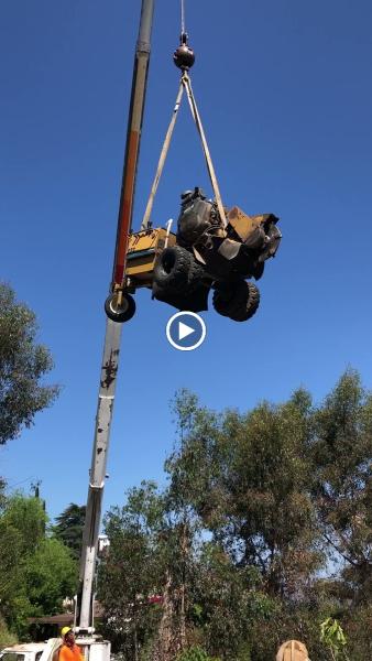 Gordy's Stump Grinding