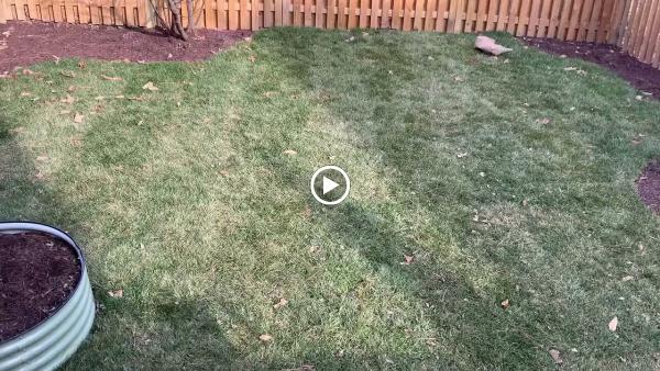 Green Yard Landscaping & Masonry Llc