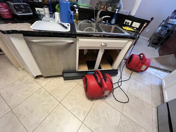 Astros Flood Recovery