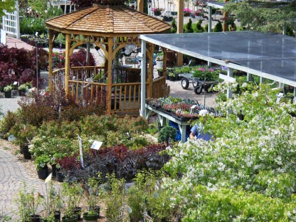 Cayer Gardens & Landscaping