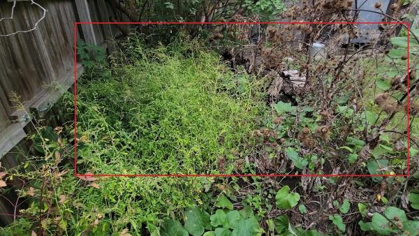 Grounded Earth Property Services