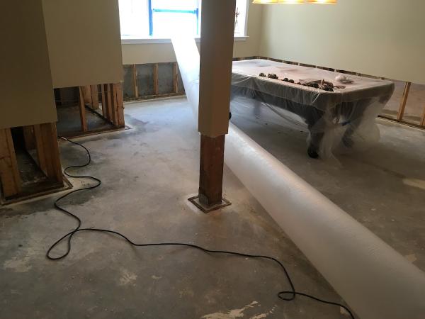 Mold Removal Masters