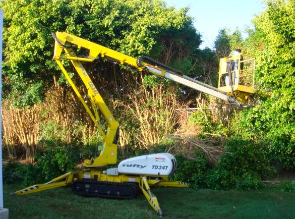 Anchor Tree Services