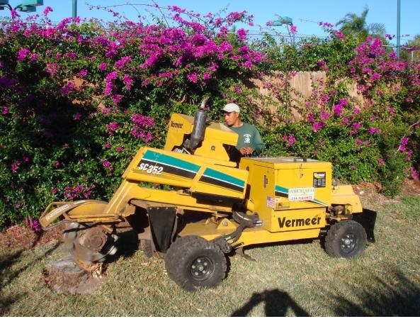 Anchor Tree Services