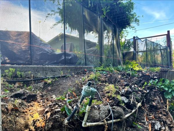 Gonzales Landscaping