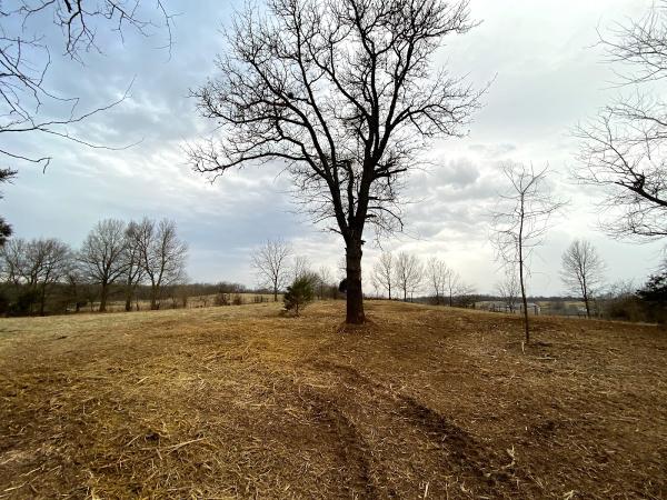 417 Land & Turf Management