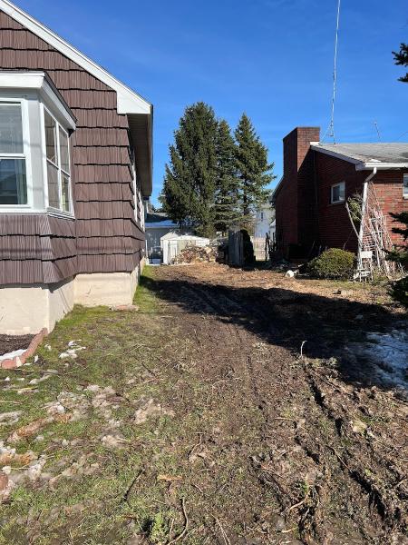 American Arborist Tree Experts