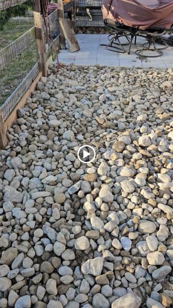 Cruz &son Landscaping Llc & Trees Removal