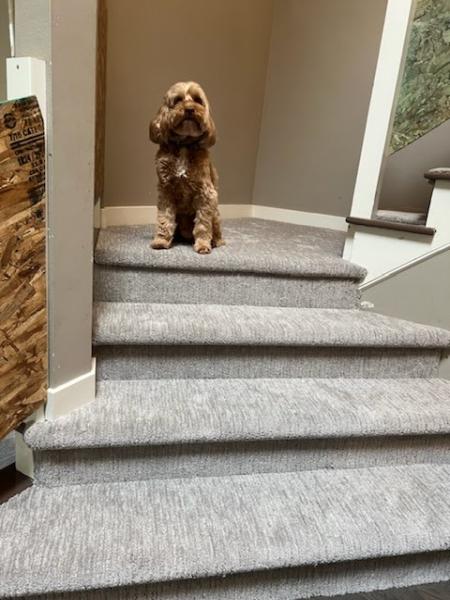 Craftcore Flooring Solutions