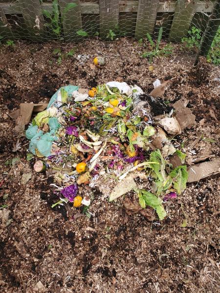 Greener Bay Compost