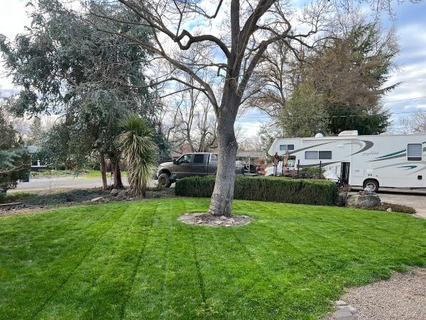 Picture Perfect Lawns LLC