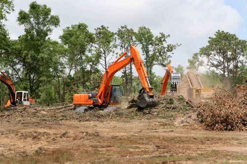 Southern Tree Care
