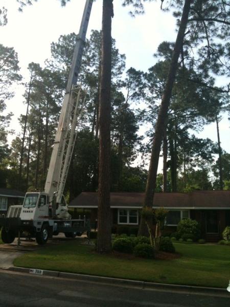 Southern Tree Care