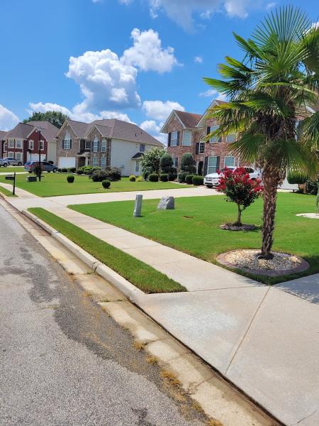 Veterans Lawn and Carpet Care