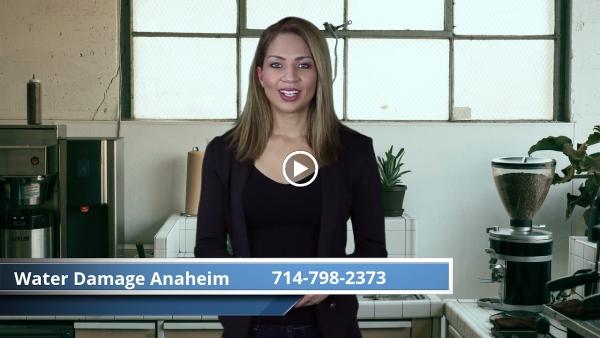 Water Damage Anaheim Land Inc