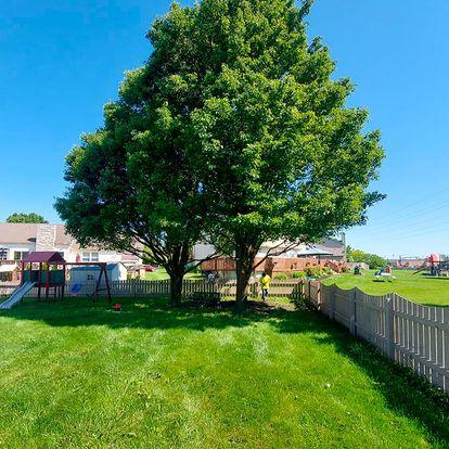 Grace Tree Service West Des Moines