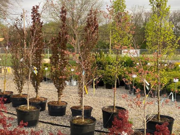 Michigan Greenscape Supplies