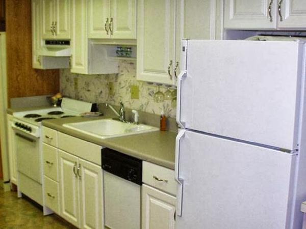 Israel Trevino Roof and Home Repair