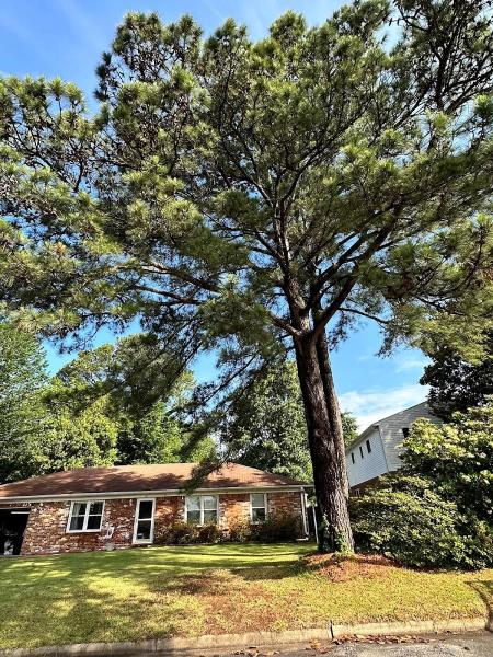 Chop & Drop Tree Service LLC