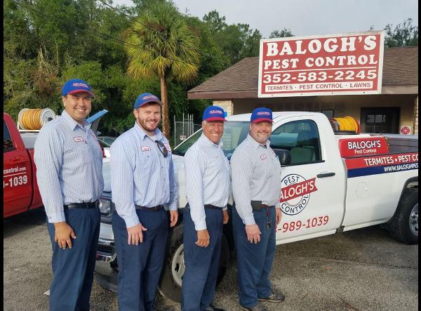 Balogh's Pest Control