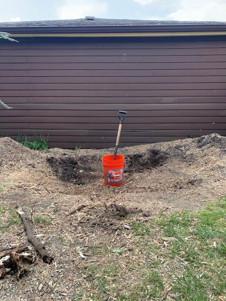 Cut My Tree Down