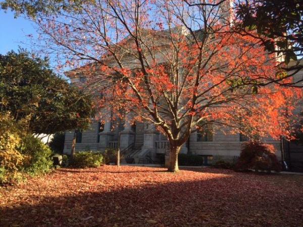 Decatur Community Realty