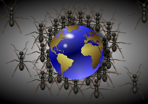 Innovative Pest Solutions