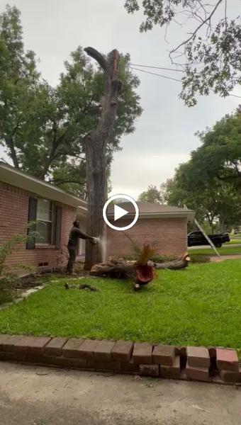 JP Tree Services