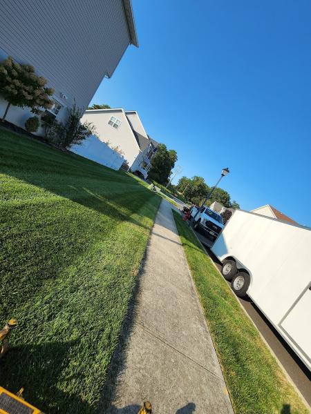 Diamond Cut Lawn Service LLC