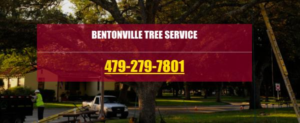 Tree Service Bentonville