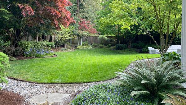Phoenix Landscape Maintenance