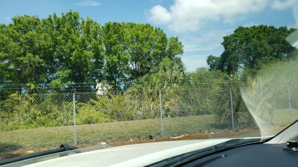 Pinellas Tree Service